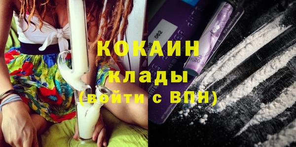 сатива Нея