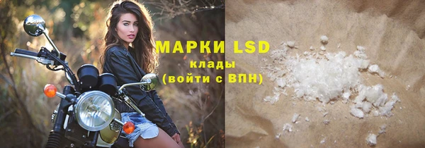 прущие грибы Армянск