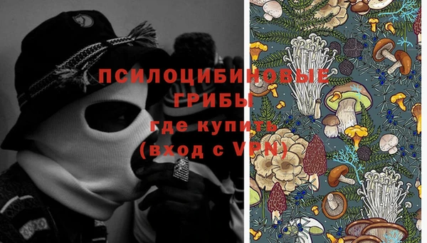 сатива Нефтегорск