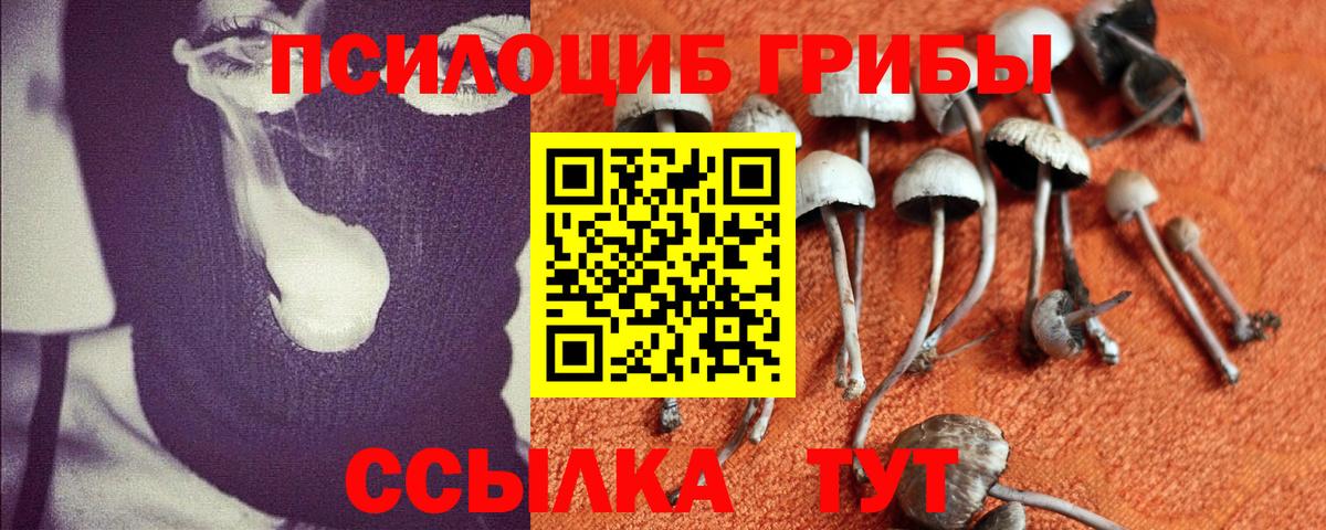 Галлюциногенные грибы мухоморы  Вход с VPN  цена   Псилоцибиновые грибы MAGIC MUSHROOMS  Троицк 